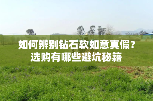 如何辨别钻石软如意真假？选购有哪些避坑秘籍